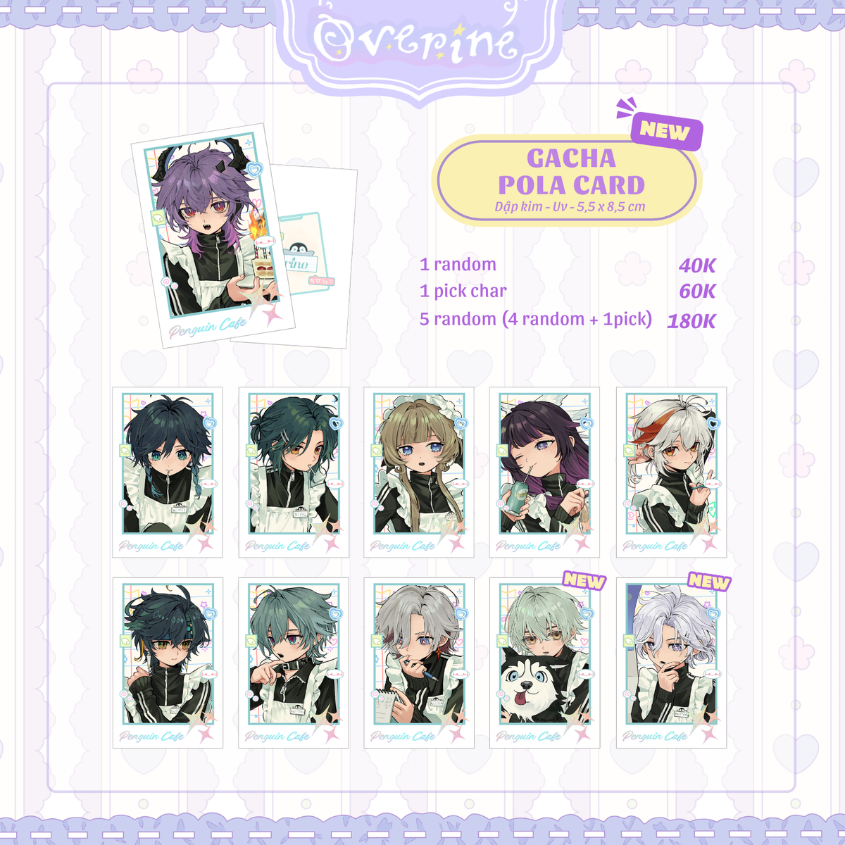 [GENSHIN] Penguin Cafe Card